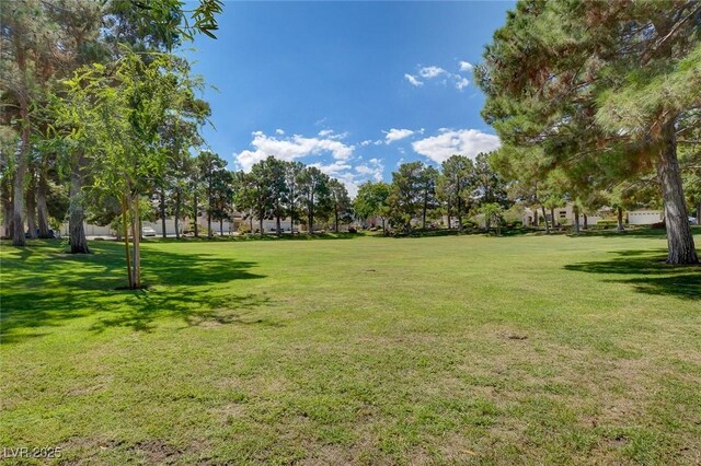 view of home's community featuring a yard