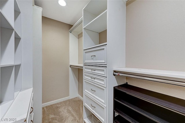 walk in closet featuring light colored carpet