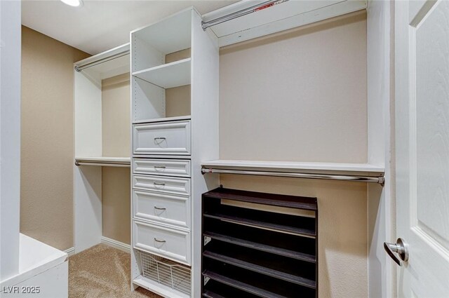 walk in closet with light carpet