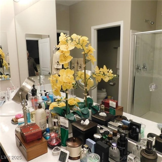 bathroom with a sink, a shower stall, and toilet