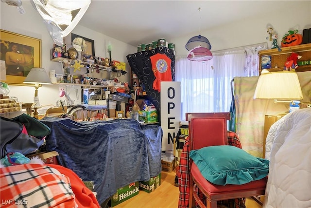 interior space with hardwood / wood-style flooring