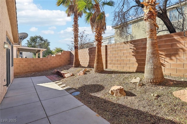 view of yard featuring a patio area