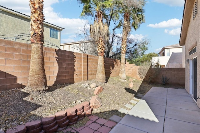 view of yard featuring a patio area