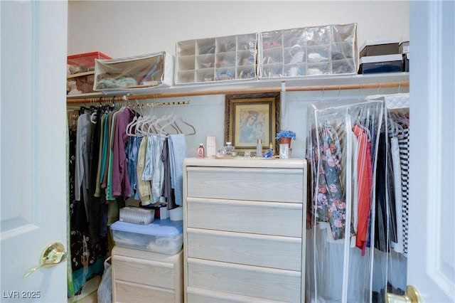 view of spacious closet