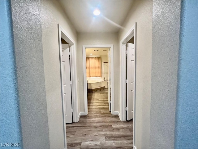 hallway with hardwood / wood-style flooring