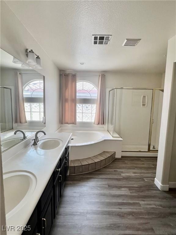 10618 Timber Stand St, Las Vegas, NV 89183 - full bath featuring plenty of natural light, visible vents, and a sink