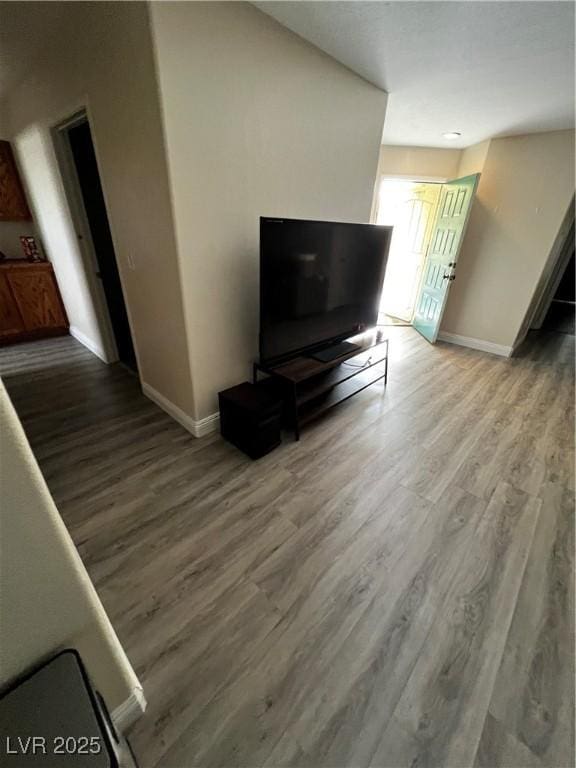 living room with wood-type flooring