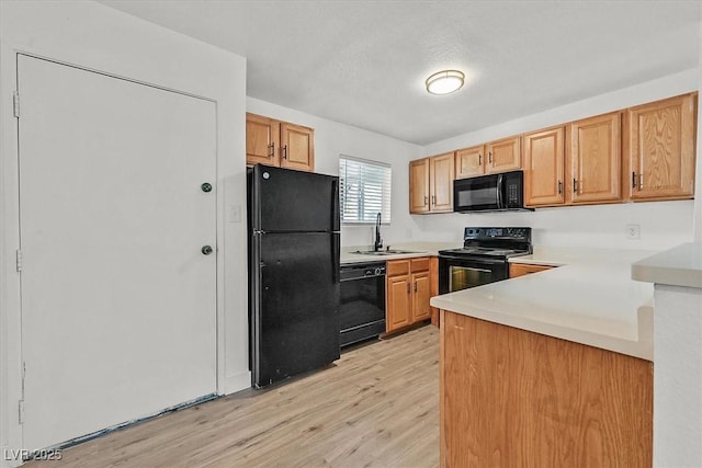 kitchen featuring sink, light wood-type flooring, and black appliances