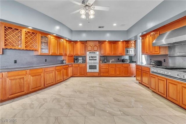 kitchen featuring tasteful backsplash, ceiling fan, wall chimney exhaust hood, and appliances with stainless steel finishes