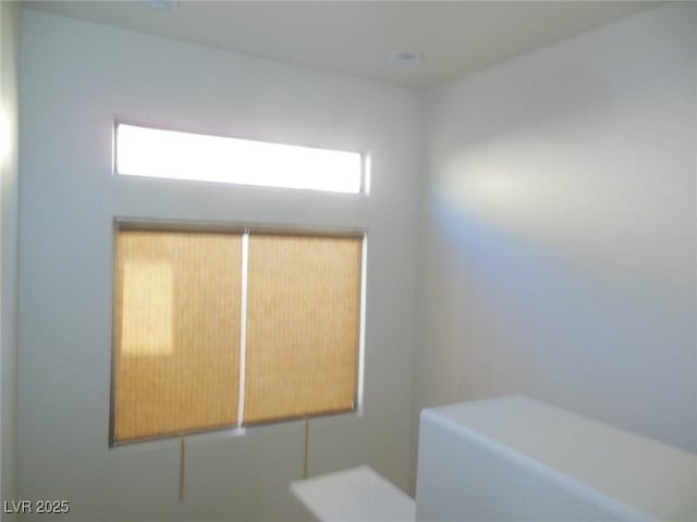 bathroom featuring a wealth of natural light