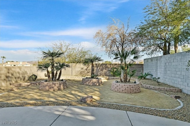 view of yard featuring a patio