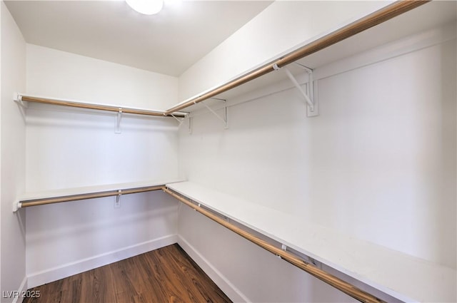walk in closet featuring dark wood-type flooring