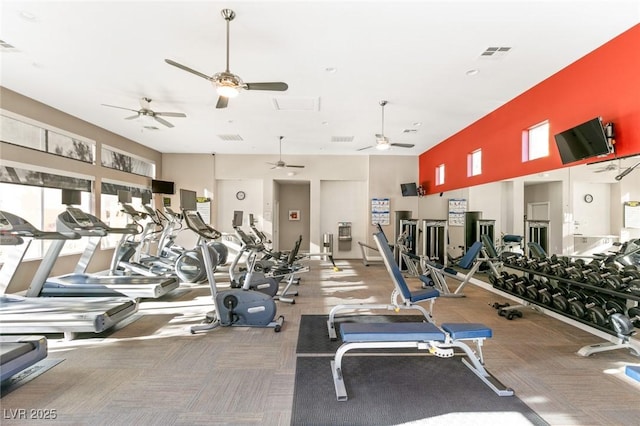 workout area featuring carpet floors and plenty of natural light