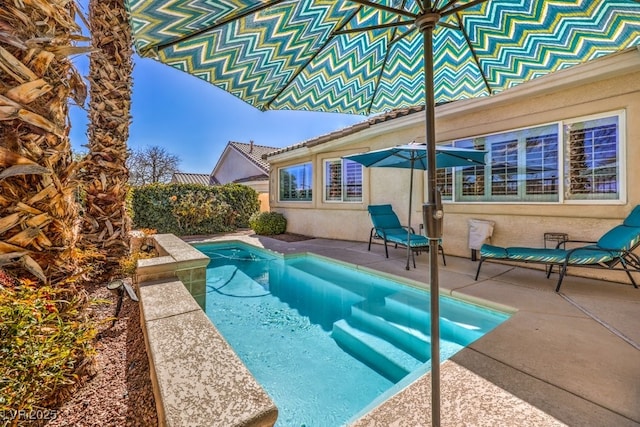 view of pool featuring a patio area