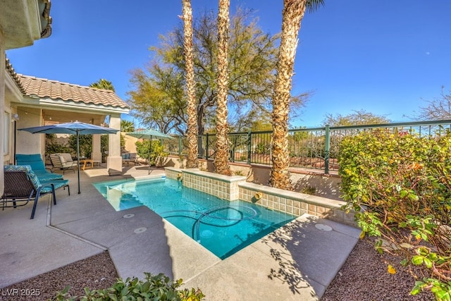 view of swimming pool with a patio