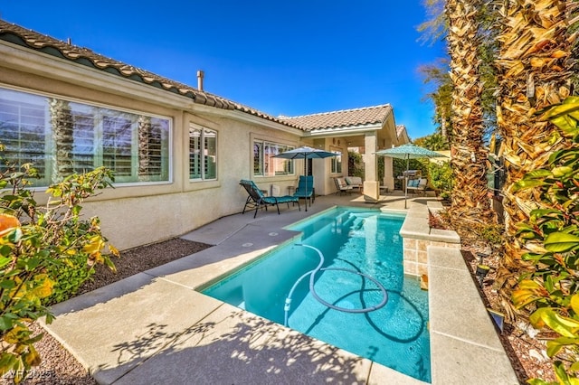 view of pool with a patio area