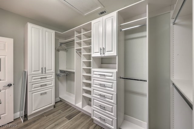 spacious closet with dark wood-type flooring