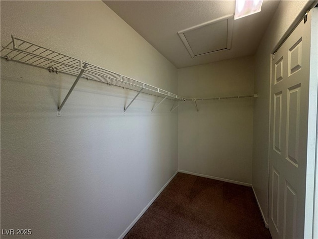 spacious closet with carpet flooring