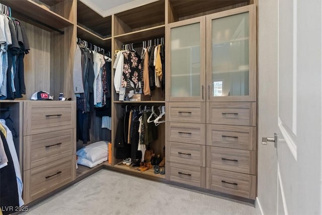 walk in closet featuring light carpet