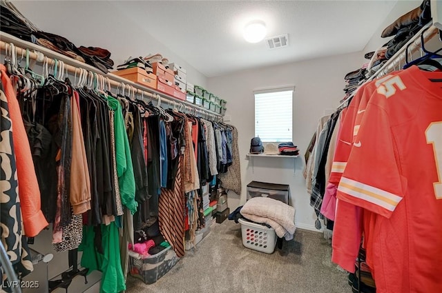 walk in closet with carpet flooring