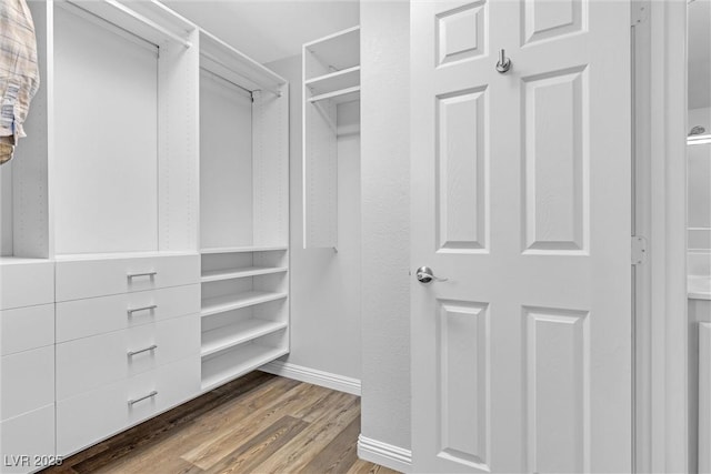 spacious closet with hardwood / wood-style flooring