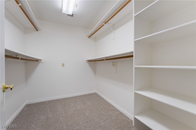 spacious closet featuring carpet floors