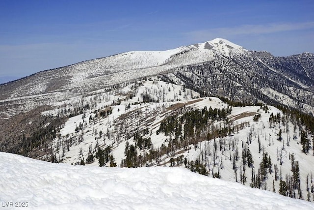 view of mountain feature