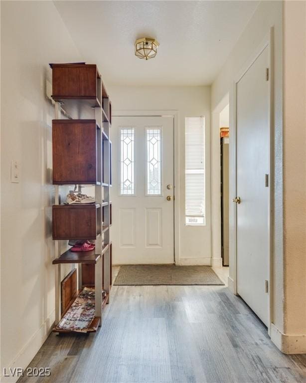 entrance foyer with a healthy amount of sunlight and light wood-type flooring