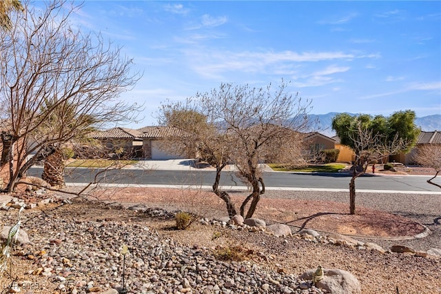 view of yard with a mountain view