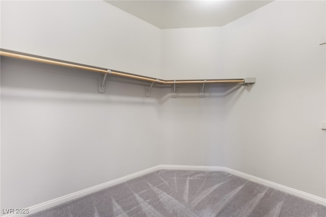 spacious closet featuring carpet floors