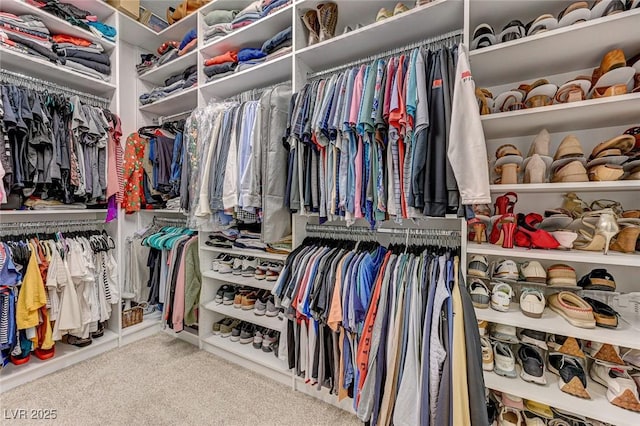 walk in closet featuring carpet floors