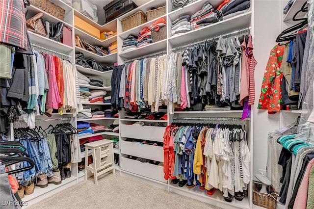 walk in closet featuring carpet