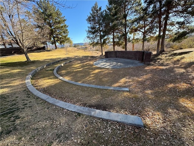 view of yard featuring a patio