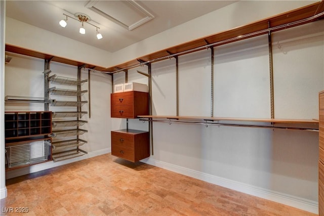 view of walk in closet