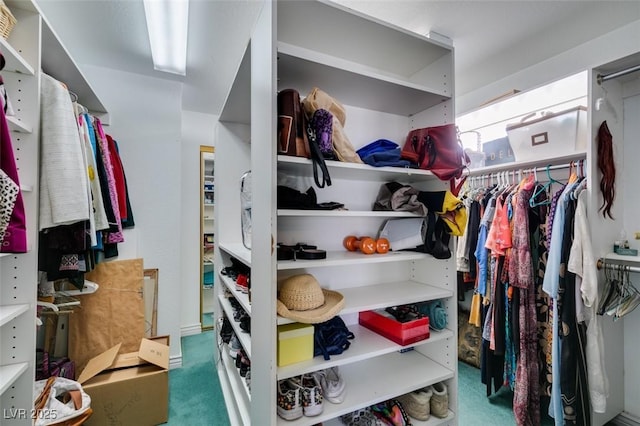 walk in closet featuring carpet flooring