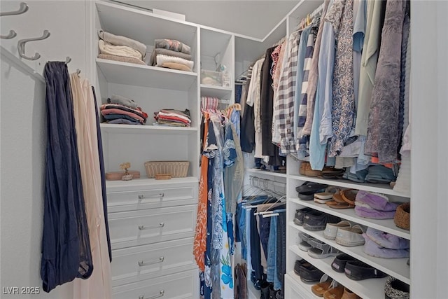 view of walk in closet