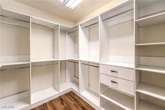 walk in closet with dark wood-type flooring