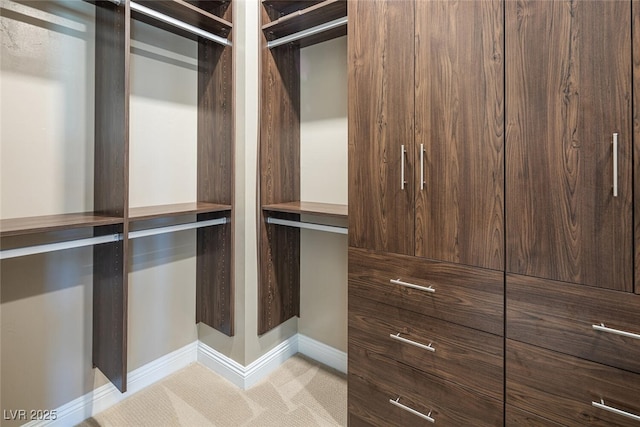 walk in closet featuring light colored carpet