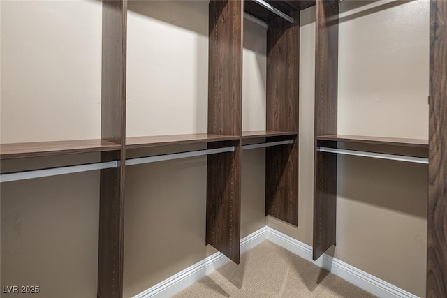 walk in closet with carpet