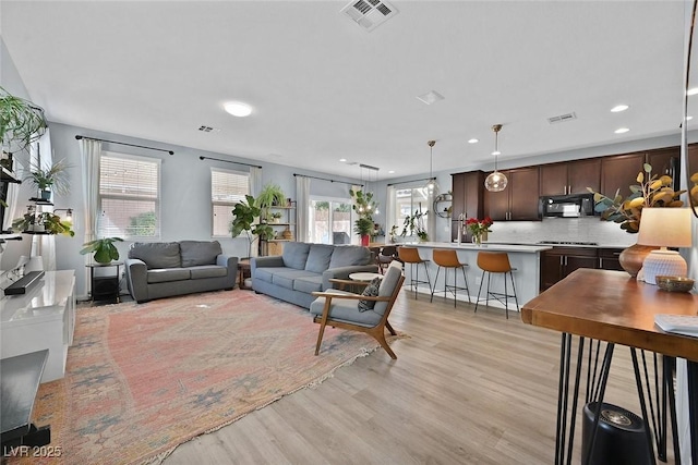 living room with light hardwood / wood-style flooring