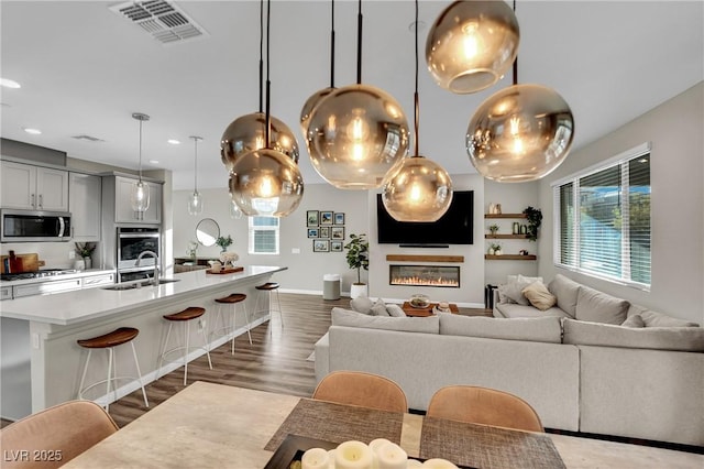 living room with dark hardwood / wood-style flooring, sink, and a wealth of natural light