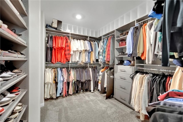 spacious closet featuring light carpet