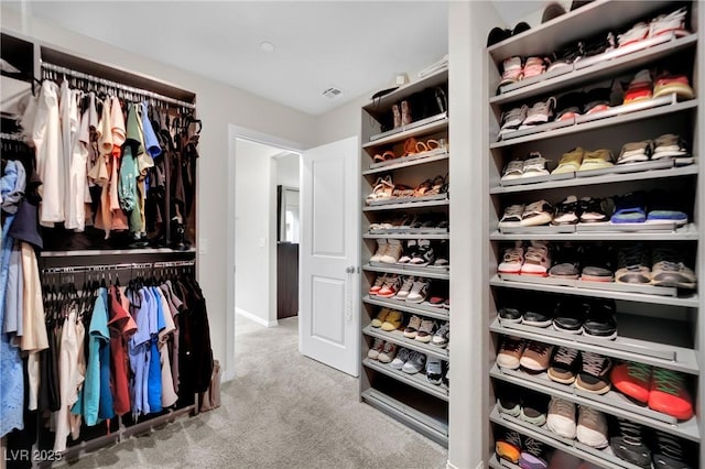 spacious closet with carpet floors