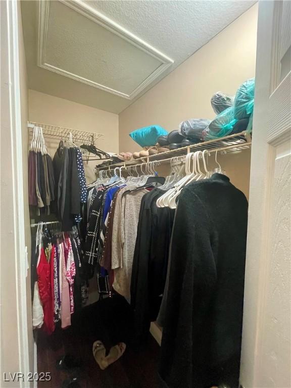 view of walk in closet