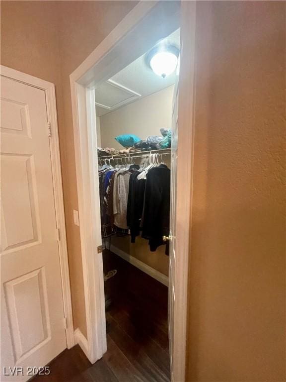 walk in closet featuring dark hardwood / wood-style floors