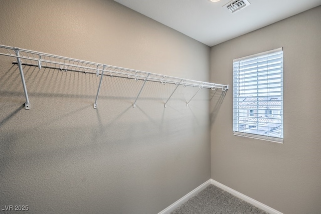 spacious closet with carpet and visible vents