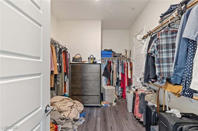 spacious closet with wood finished floors