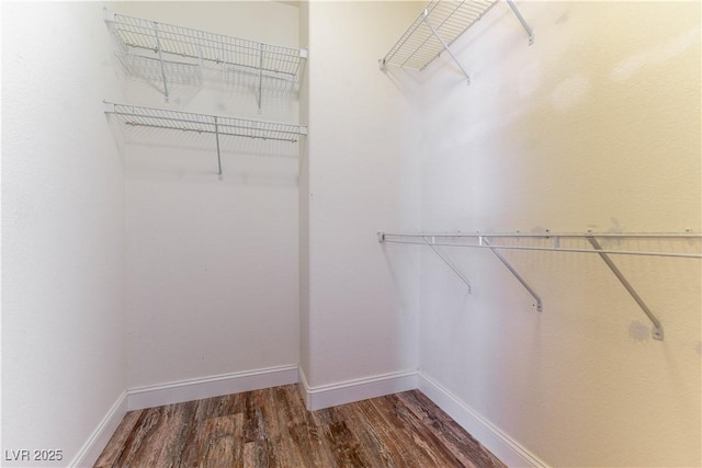 spacious closet featuring dark hardwood / wood-style flooring