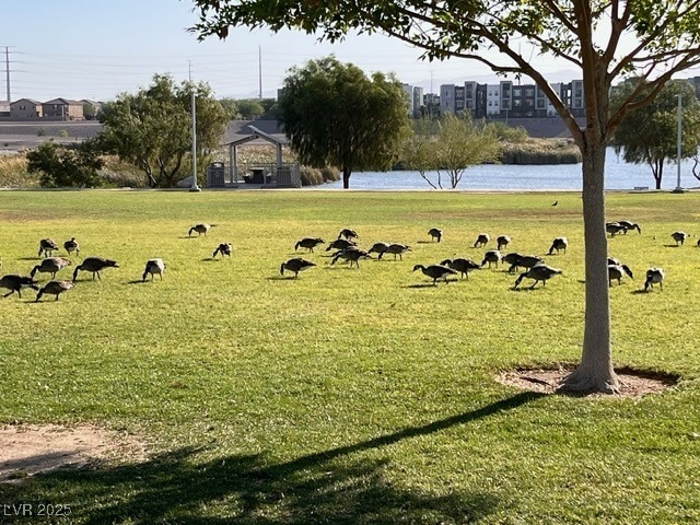 view of yard with a water view