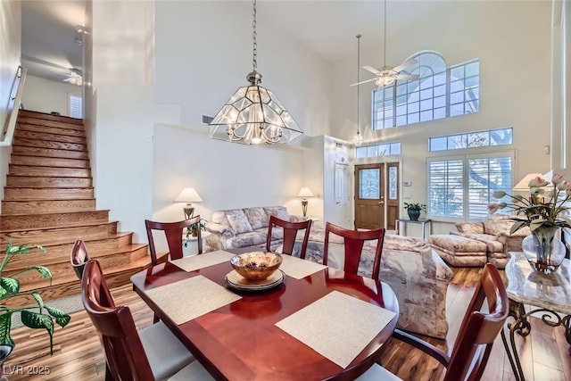 dining space with wood-type flooring and ceiling fan with notable chandelier